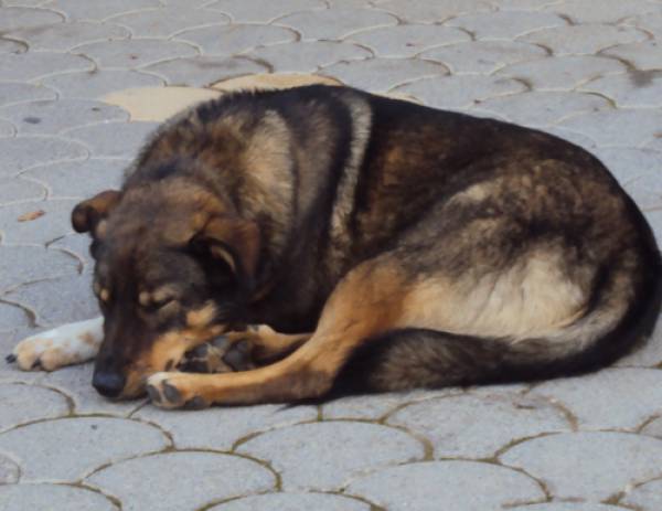 Επαναφορά στην πραγματικότητα