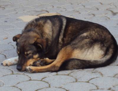 Επαναφορά στην πραγματικότητα