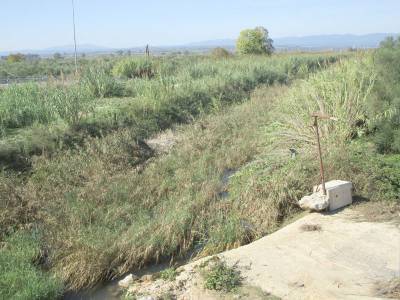 Δεν έφτασαν 600.000 ευρώ!!