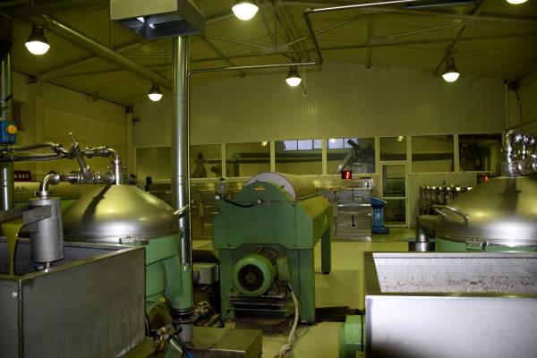 Αγροτικός Συνεταιρισμός Στέρνας Μεσσηνίας: "Ο πρωτογενής τομέας είναι η ασφαλής διέξοδος από την κρίση"