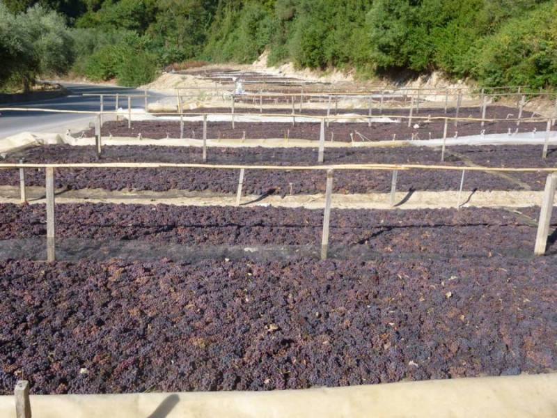 Ο Αγροτικός Σύλλογος Χανδρινού για τη σταφίδα