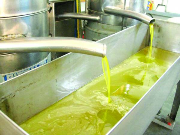 Ελπίδες για αύξηση των τιμών του ελαιολάδου