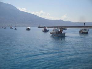 Ψαροκάικα και πολίτες για τα χημικά της Συρίας στην Καλαμάτα