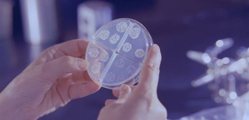 Παγκόσμια ανησυχία για τη φυματίωση - Στο 50% έφτασε η θνητότητα χωρίς θεραπεία