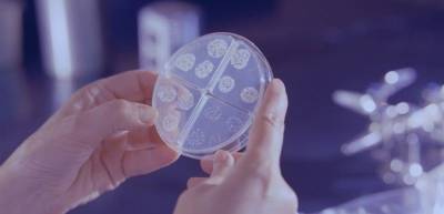 Παγκόσμια ανησυχία για τη φυματίωση - Στο 50% έφτασε η θνητότητα χωρίς θεραπεία