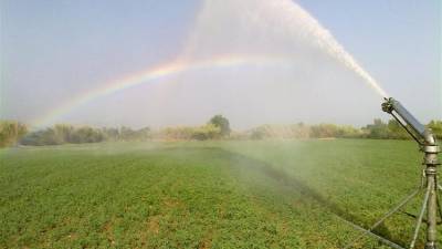 Ενώ η Πολιτεία σχεδιάζει να δαπανήσει δεκάδες εκατομμύρια για αρδευτικά έργα: Εγκαταλείπονται οι ποτιστικές καλλιέργειες
