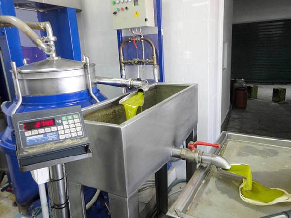 Νέες προοπτικές για τους παραγωγούς: Τιμή και ΠΟΠ τα ατού του ελαιολάδου