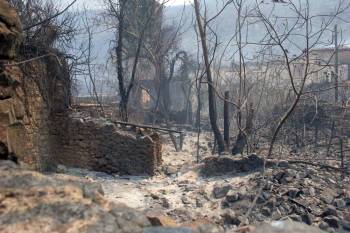 Φεβρωνία Πατριανάκου: Παράταση εγγυήσεων για τα πυροδάνεια