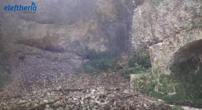 Ο "Ευκλής" στο δάσος της Φολόης με συντροφιά μία αλεπού! (βίντεο)