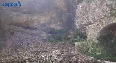 Ο "Ευκλής" στο δάσος της Φολόης με συντροφιά μία αλεπού! (βίντεο)