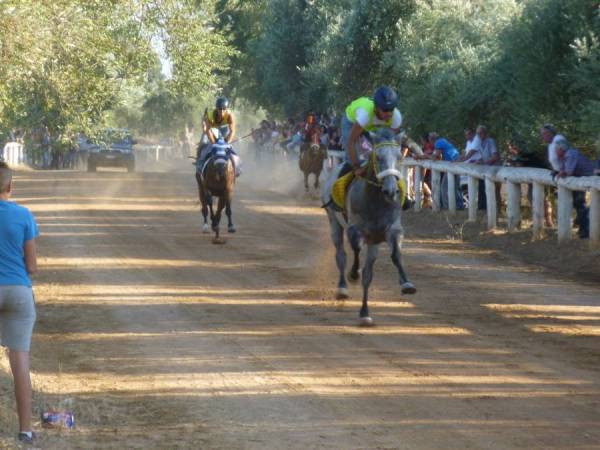 Οι ιπποδρομίες στο Πλατύ