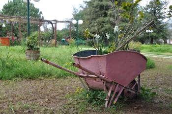 Καλλιεργητικά εργαστήρια στο αγρόκτημα Φοίφα