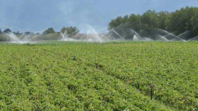 Αυγενάκης: «Στον νέο κανονισμό του ΕΛΓΑ θα καλύπτονται νέοι κίνδυνοι»