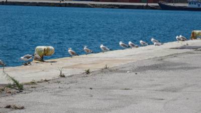 Περιμένοντας… κατάρτια