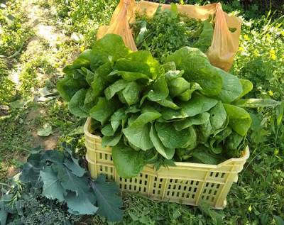 "Λαϊκή Συσπείρωση Πελοποννήσου” για τα μέτρα: “Στόχος να σωθούν τα κέρδη του κεφαλαίου”