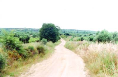 Κάστρα και οχυρά στη Μεσσηνία: Οχυρωμένα χωριά, χαμένα στο χρόνο (Casalia cum fortalicium) Α' Μέρος