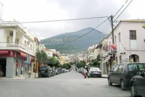 Η Ειρήνη Θεοδωροπούλου πρόεδρος στον Εμπορικό Σύλλογο Κυπαρισσίας