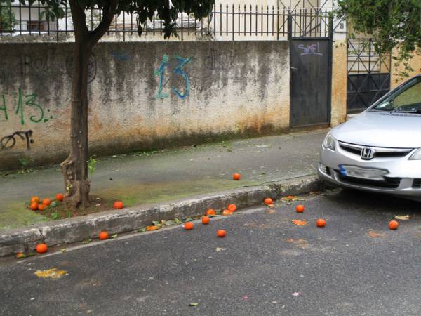 Πεταμένα νεράντζια