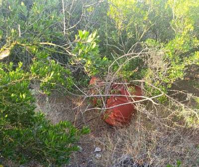 24 κιλά χασίς κρυμμένα στα Κοκκινοχώραφα Γαργαλιάνων