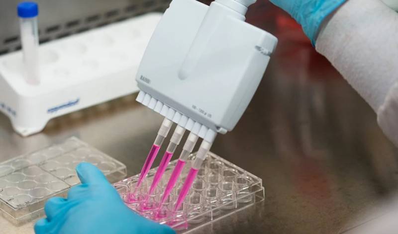 Πρωτοποριακή έρευνα Ελλήνων επιστημόνων ανοίγει τον δρόμο για εξατομικευμένη θεραπεία του καρκίνου