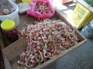 Βολβοί ντόπιοι αλλά και από την Τυνησία στη Λαϊκή της Καλαμάτας