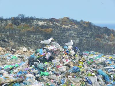 Πύλος: Αναβλήθηκε η δίκη του αντιδημάρχου για τη φωτιά στον ΧΑΔΑ Αγίου Νικολάου