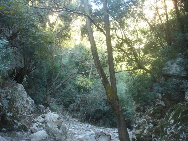 Επί τάπητος: Το ποτάμι, τα σκουπίδια και ένα πάρκο με... ιστορία