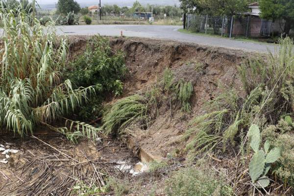 Τα καλάμια συγκρατούσαν το χώμα