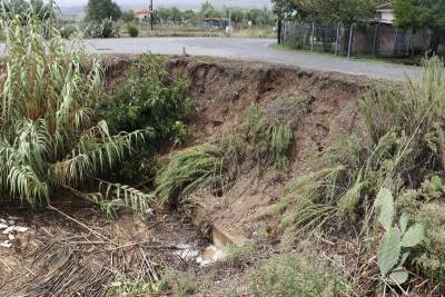 Τα καλάμια συγκρατούσαν το χώμα