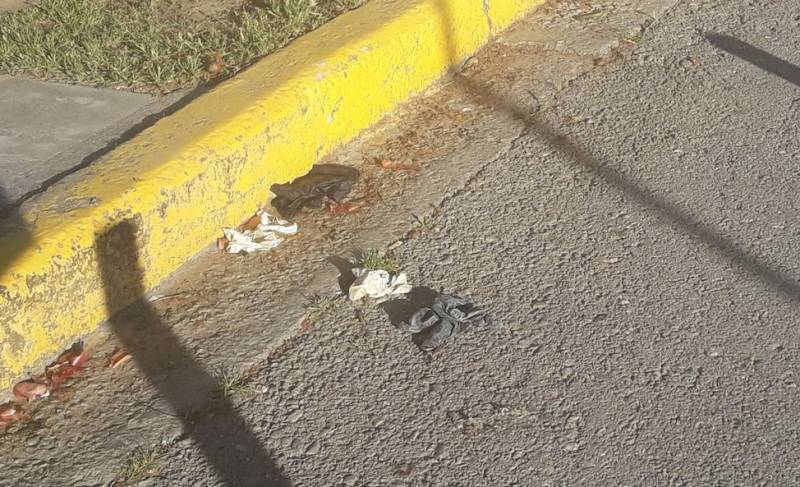 Τα απορρίμματά μας δεν είναι όλα σκουπίδια