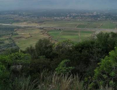 Να τελειώσει άμεσα η ομηρία των δασικών χαρτών