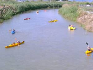 Ναυταθλητικό κέντρο στον Αρι προτείνει η Κωπηλατική Ομοσπονδία