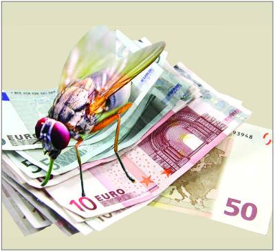 Ακόμα να βρεθεί το κονδύλι για την καταπολέμηση: Ο δάκος απειλεί πάλι την αγορά