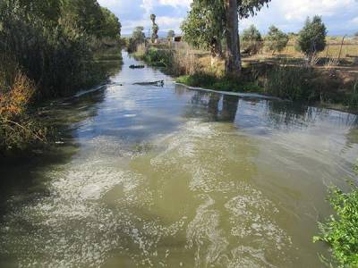 Ξεδιάντροπη κοροϊδία