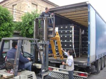 20 τόνοι ακτινίδια για τους πολύτεκνους Τριφυλίας