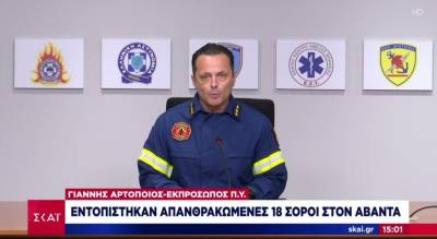 Φωτιά στον Έβρο: Εντοπίστηκαν τουλάχιστον 18 απανθρακωμένοι μετανάστες στο δάσος της Δαδιάς (Βίντεο)