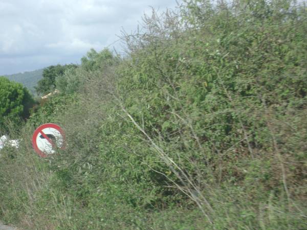 Κρυμμένες πινακίδες σε δρόμους της Τριφυλίας