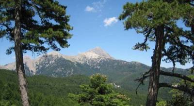 Μια εβδομάδα χωρίς τηλεόραση στον Ταΰγετο