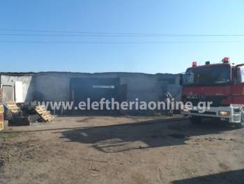 Φωτιά στο Μπουρνιά απείλησε ζώα και αγροτικές εγκαταστάσεις