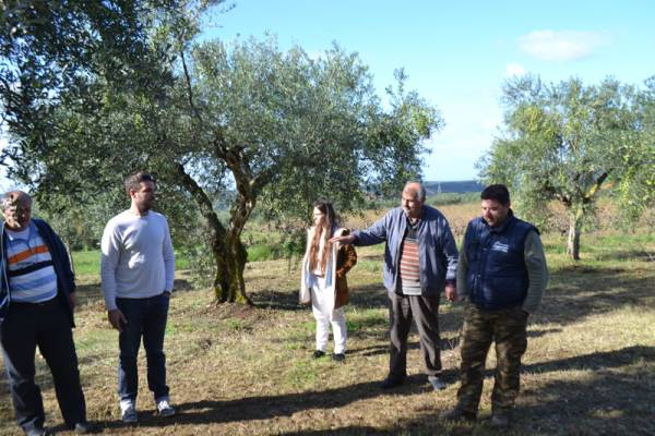 Ζημιές από χαλάζι στην Ενότητα Φιλιατρών