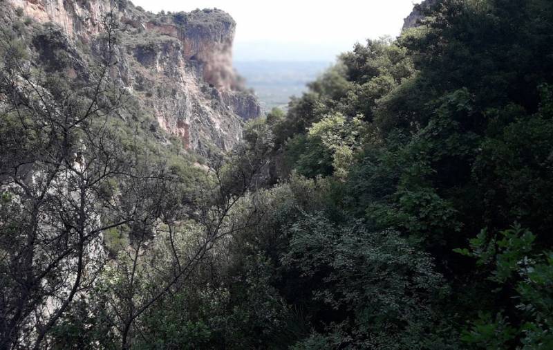 Μέτρα πολιτικής προστασίας από την "Πελοπόννησος Πρώτα"