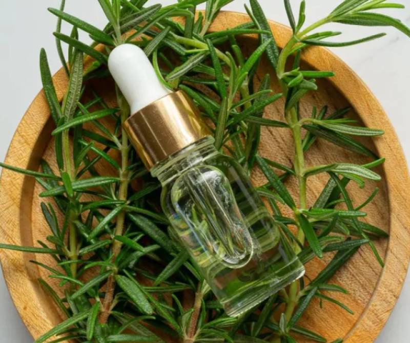 Δεντρολίβανο: Τα οφέλη που παρέχει στα μαλλιά