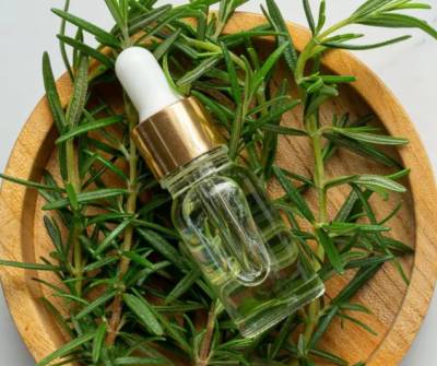 Δεντρολίβανο: Τα οφέλη που παρέχει στα μαλλιά