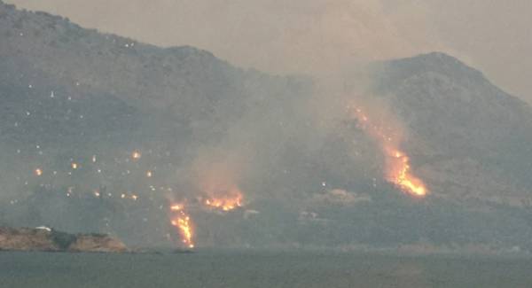 Μέτρα για πυρόπληκτους της Ανατολικής Μάνης ζητεί το ΚΚΕ