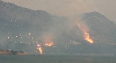 Μέτρα για πυρόπληκτους της Ανατολικής Μάνης ζητεί το ΚΚΕ