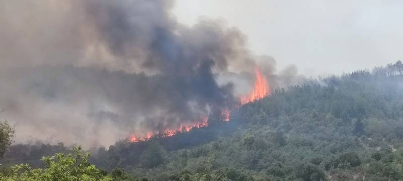 Μαίνεται η φωτιά στην Πολυθέα - Νέο 112 για εκκένωση του Σελλά προς Κυπαρισσία (βίντεο)