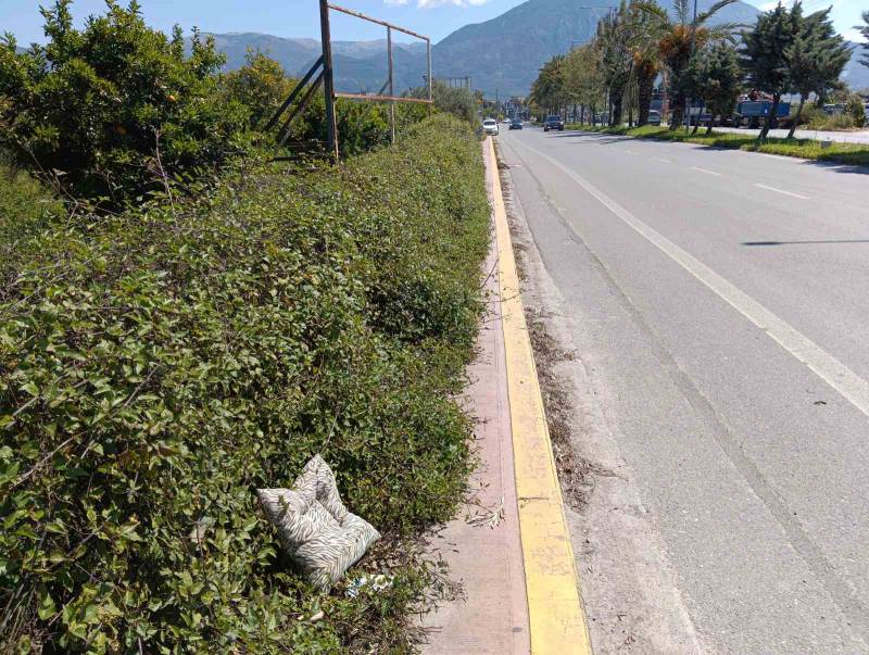 Τα χορτάρια έχουν καλύψει το πεζοδρόμιο