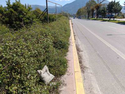 Τα χορτάρια έχουν καλύψει το πεζοδρόμιο