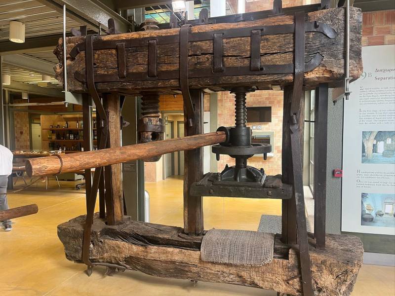 Εργαστήρι για σχολικές ομάδες στο Μουσείο Ελιάς