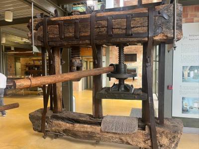 Εργαστήρι για σχολικές ομάδες στο Μουσείο Ελιάς